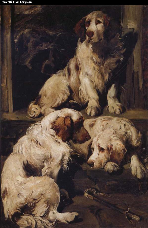 John emms Chumber Spaniels